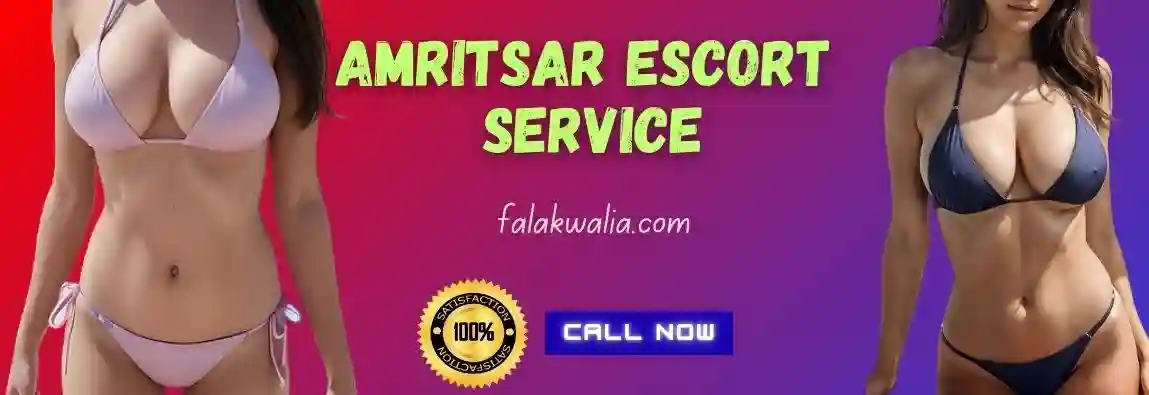 amritsar escort service